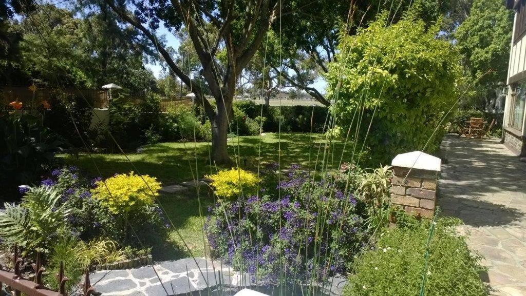 Chaston Manor Hotel Cape Town Exterior photo